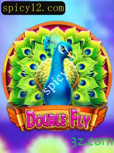 Explorando o Mundo Empolgante de DoubleFly: Descrição e Regras